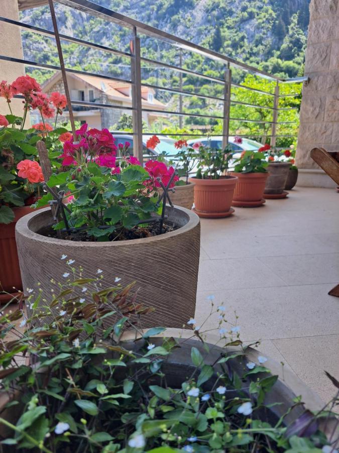 Benvenuti Cattaro